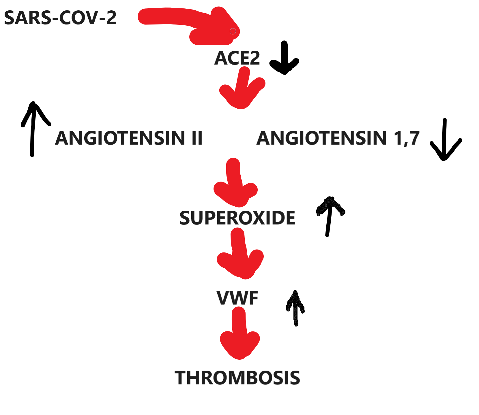 Sars Picture Example sars-image- – SCOPE