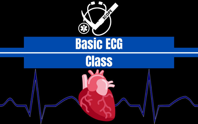 Basic ECG Class